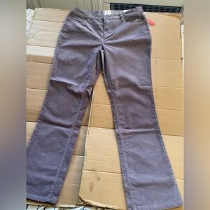 S’John’BayCorduroy Bootcut Pants Excalibur Grey